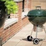 Weber One-Touch charcoal grill in green