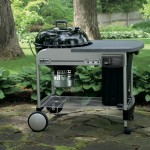 Weber Performer charcoal grill in black