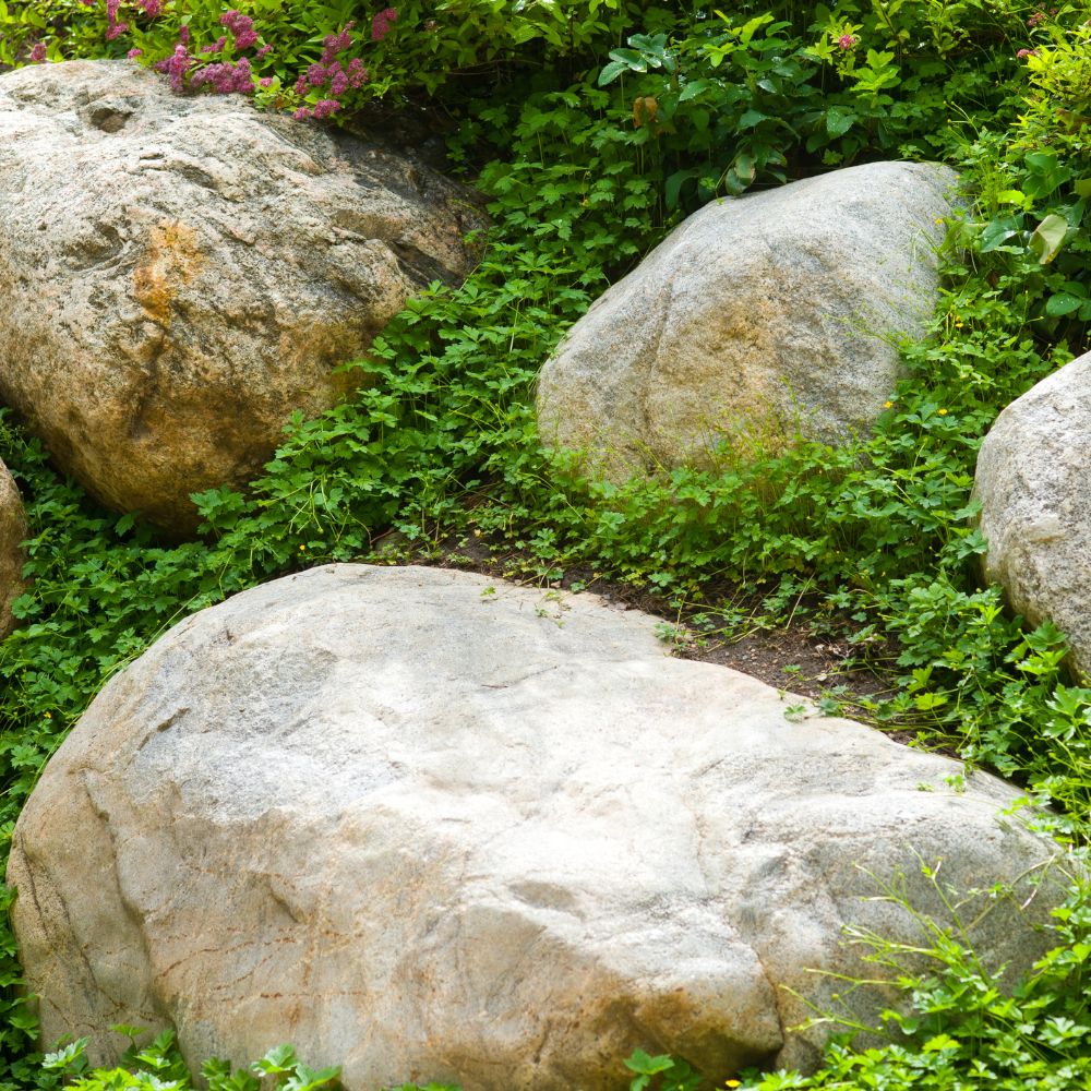 home garden landscape boulders
