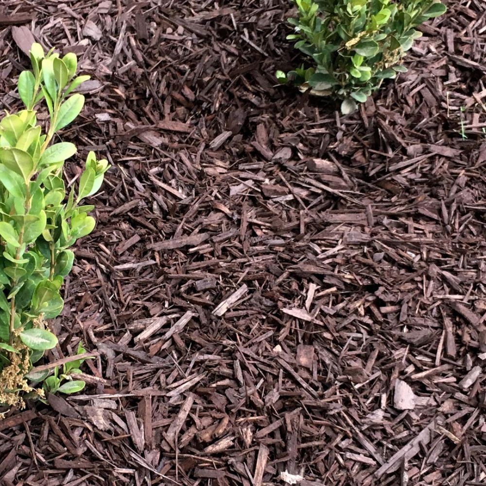 brown mulch landscaping with bushes