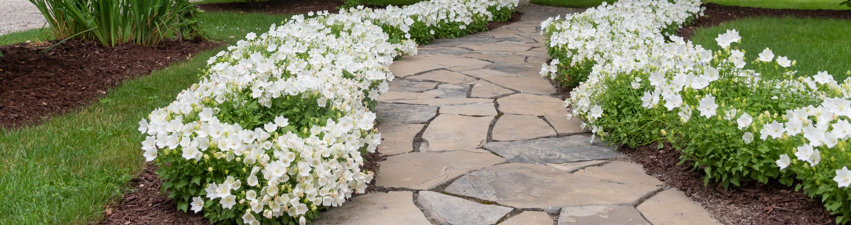 flagstone garden path