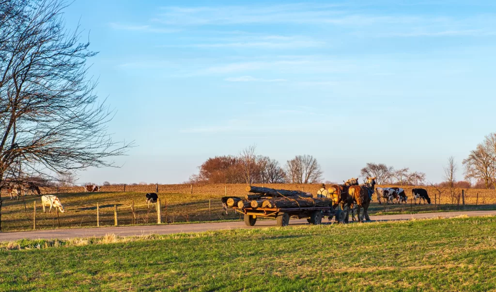 amish craftsmen carrying logs for furniture